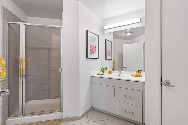 Designer Bathrooms